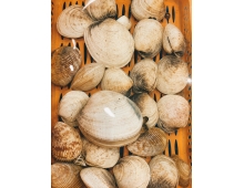Sò Bung